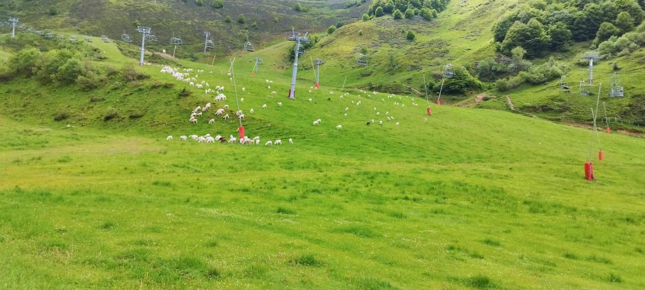 Pleine Nature Pied Pistes Piscine Chauffee 于斯图 外观 照片