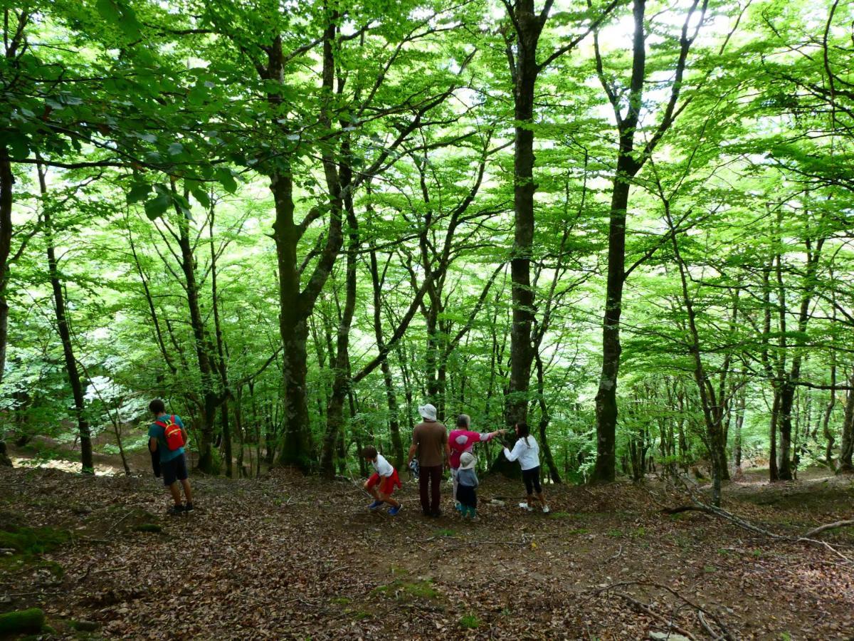Pleine Nature Pied Pistes Piscine Chauffee 于斯图 外观 照片