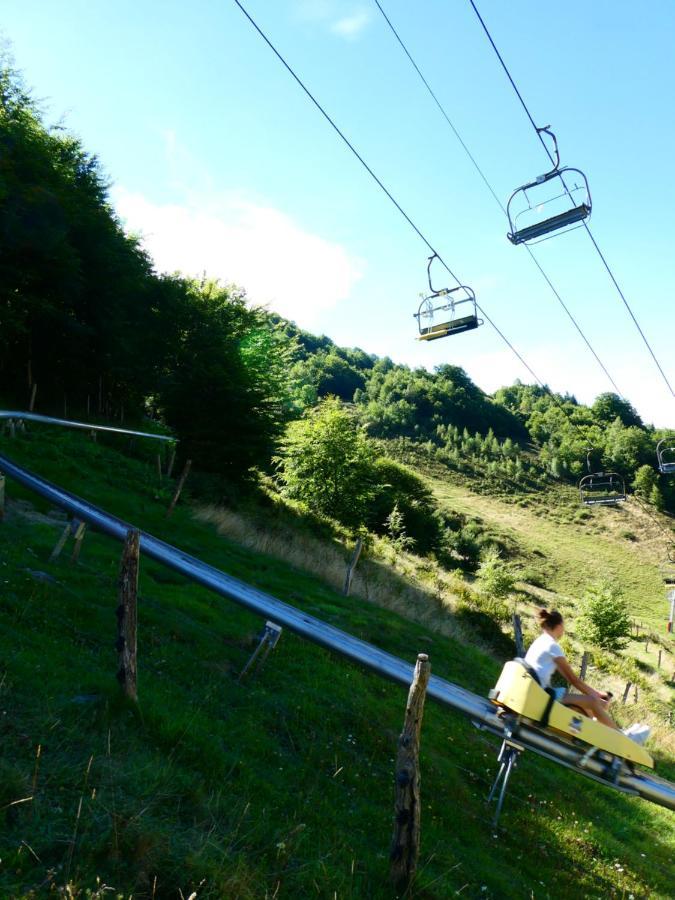 Pleine Nature Pied Pistes Piscine Chauffee 于斯图 外观 照片